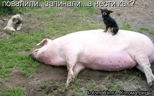 4743317_9l (640x398, 55Kb)