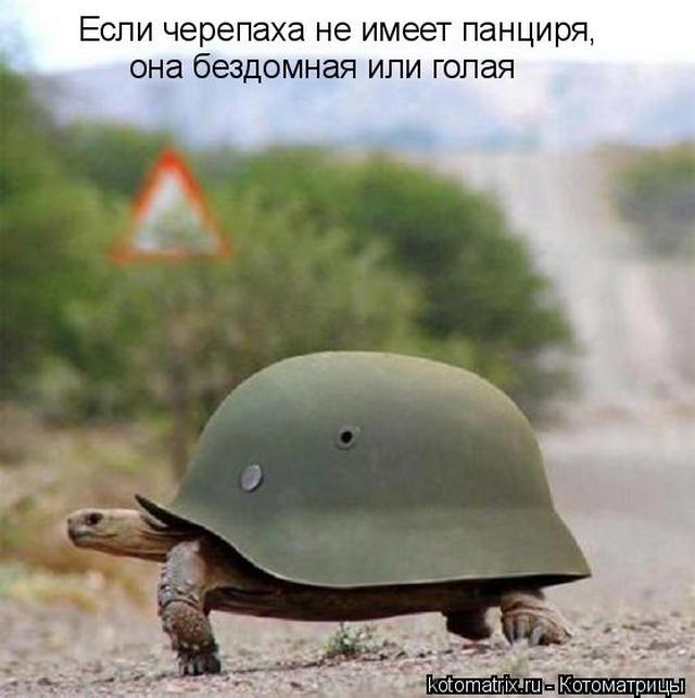 4743317_yp (640x643, 42Kb)