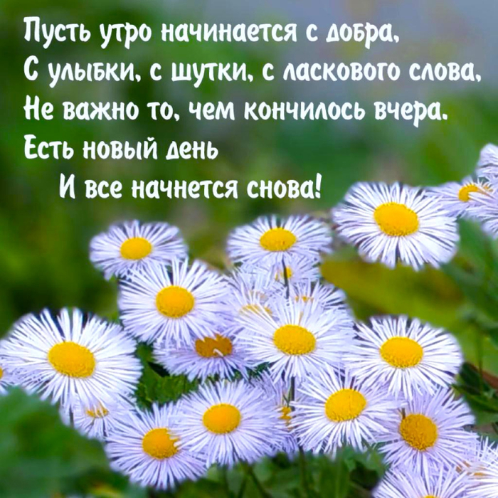 ромут (700x700, 539Kb)