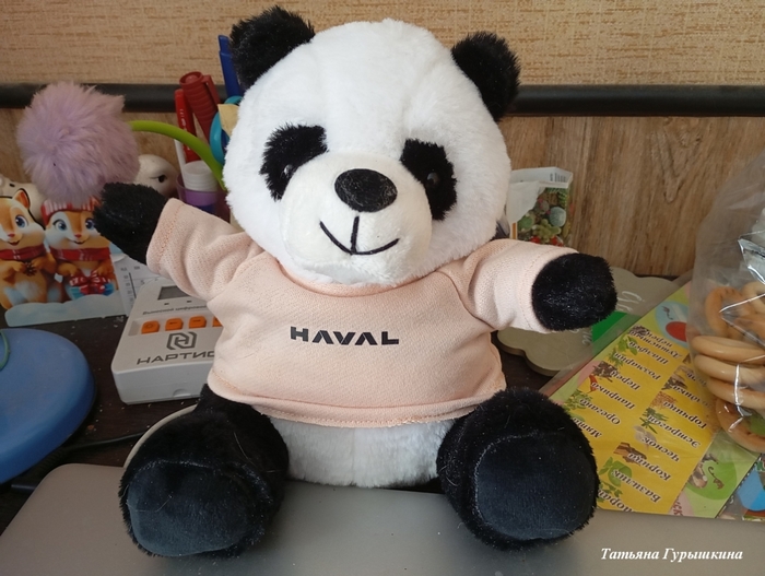 6576548_panda (700x527, 250Kb)