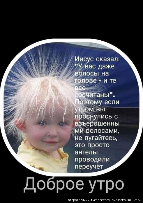 IMG-20250601-WA0005 (491x700, 158Kb)