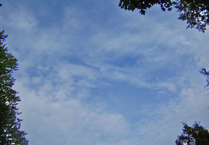 30--2010,---- (700x485, 64Kb)