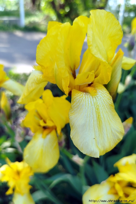 05_,  2025 (22) (466x700, 230Kb)