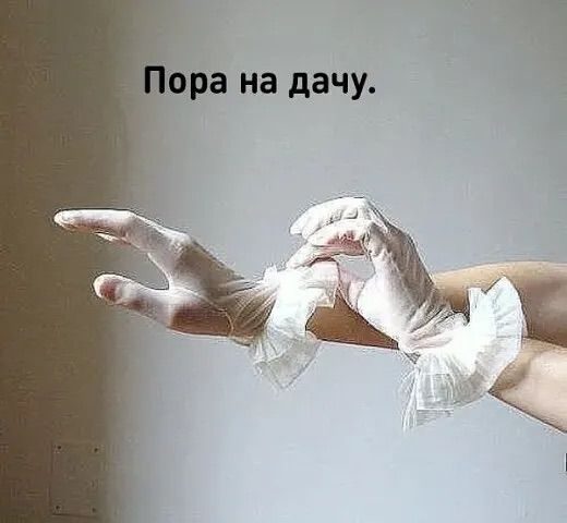3416556_9f97a07926a325703c6b7098e6feb4a3 (520x480, 25Kb)