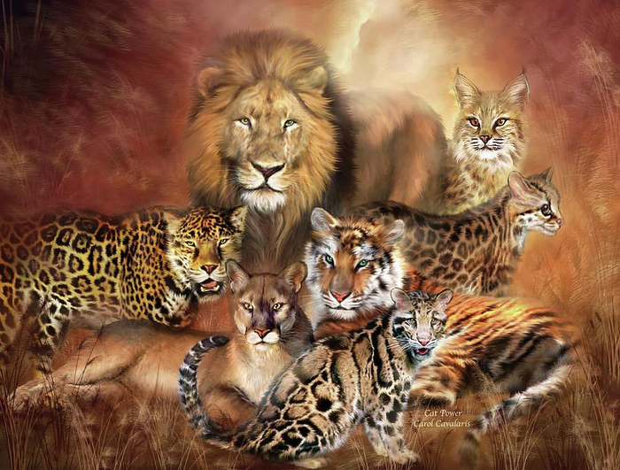 718c3e13de25d957b208c76516678a56 (700x531, 454Kb)