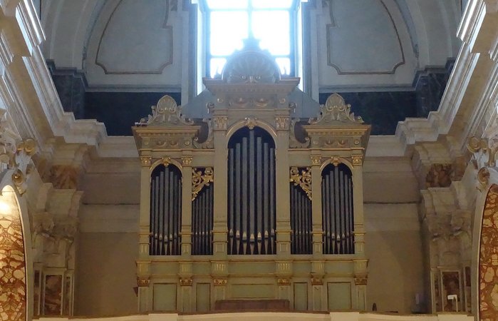 organ (900x650, 61Kb)