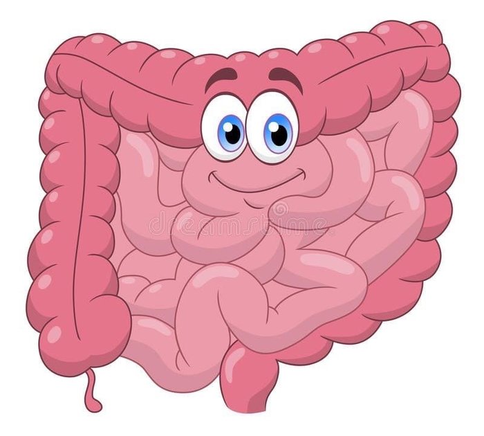 funny-klev-club-p-smeshnie-kartinki-kishechnik-11 (700x630, 51Kb)