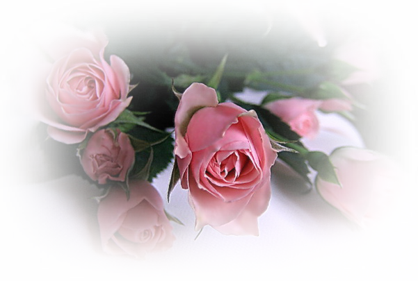 87740057_4360286_443046 (601x405, 416Kb)