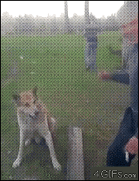 4743317_i23016 (198x257, 884Kb)