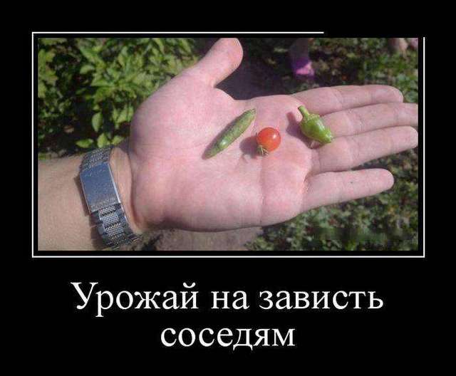 4743317_1442820106_27 (640x528, 31Kb)