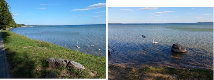 20250520_172727 (700x264, 71Kb)
