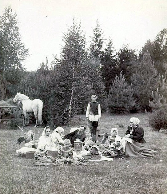  оссия Пикник в лесу на Троицу, Владимирская губ., г. Муром,  оссия 1895 год (543x631, 310Kb)