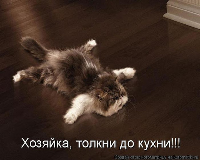 4743317_i25030 (640x512, 64Kb)