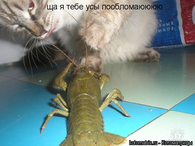 4743317_r8 (640x480, 49Kb)