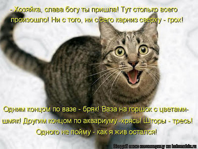 4743317_i25028 (640x480, 113Kb)