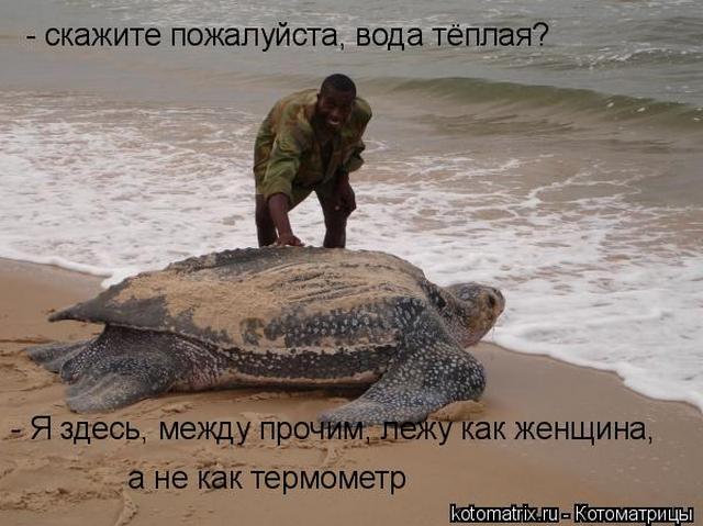 4743317_K (640x479, 50Kb)