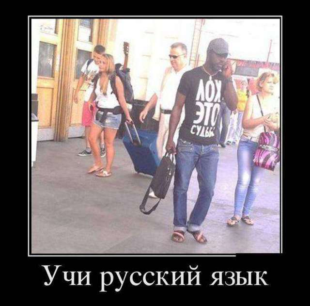4743317_1441774924_05 (640x631, 39Kb)