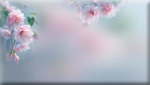  (300x169, 5Kb)
