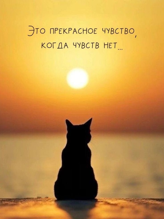 e9c662ae751855a532d7906985877446 (525x700, 148Kb)