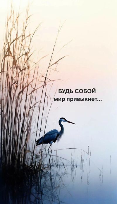 856bac2f47955eaccff84daa9ea64a10 (400x700, 41Kb)