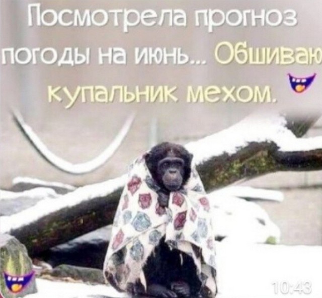 4743317_image (640x592, 67Kb)