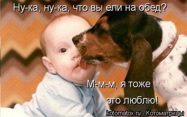 4743317_Cm (640x402, 40Kb)