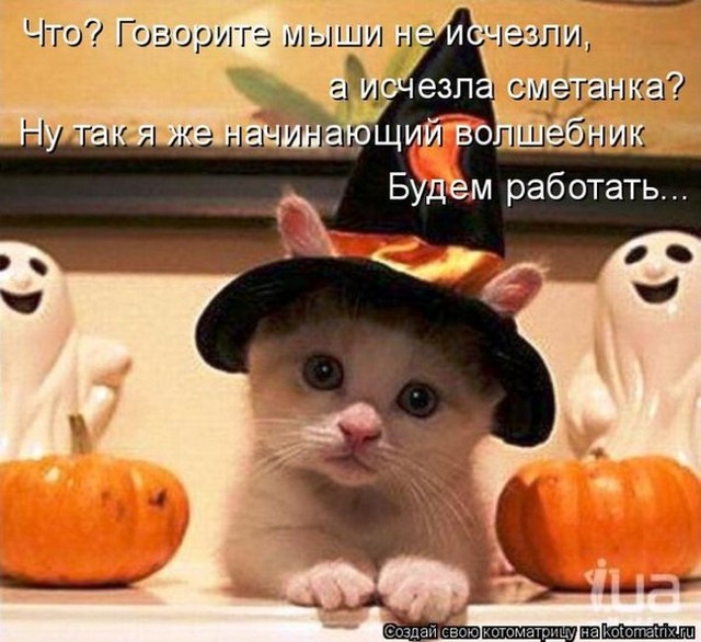 4743317_i5800 (640x586, 88Kb)