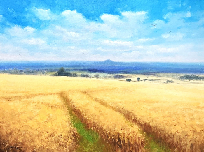2879 (700x522, 431Kb)