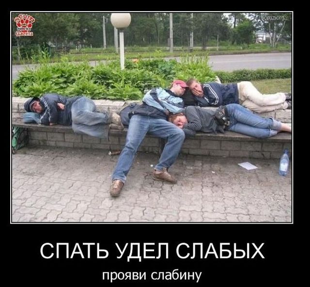 4743317_demotivatiry_49 (640x593, 77Kb)