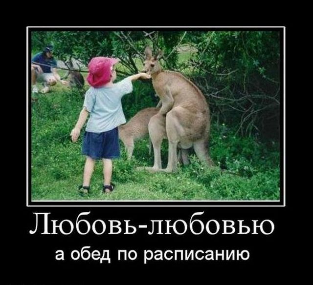 4743317_demotivatry_05 (640x584, 68Kb)