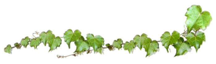 f91dfdff8367778f9fca5ede76042d36 (700x209, 127Kb)