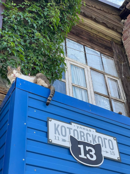 котовск (525x700, 442Kb)