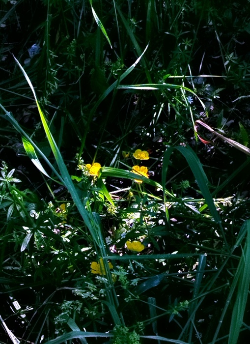  3 (509x700, 166Kb)