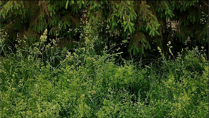  000 (700x394, 701Kb)