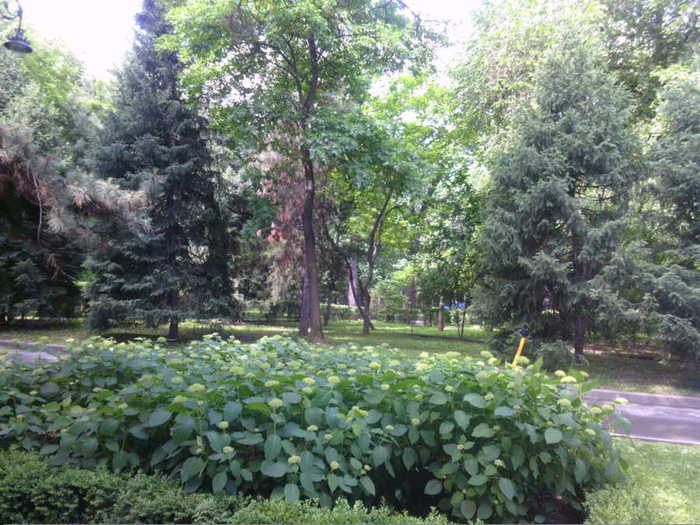 4752699_aaSUNP0080 (700x525, 64Kb)