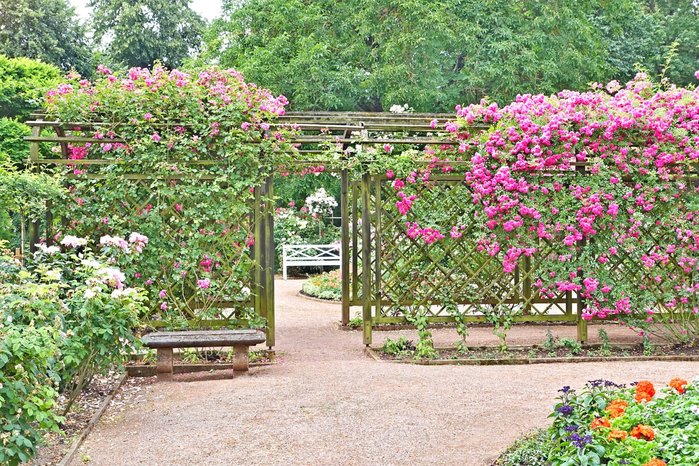 schlossgarten-juni (900x666, 166Kb)