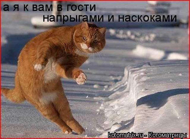 4743317_s (640x468, 47Kb)