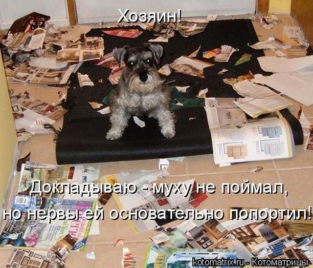 4743317_i25097 (640x549, 77Kb)