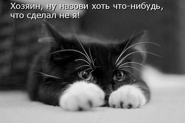4743317_i25099 (640x427, 107Kb)
