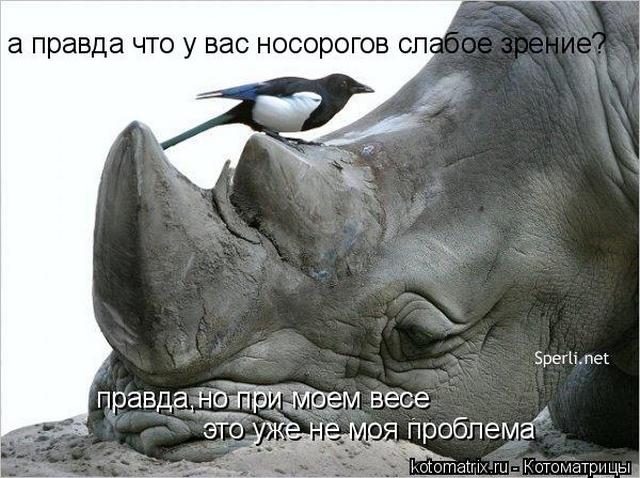4743317_Vo (640x478, 61Kb)