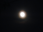  DSCN1786 (700x525, 213Kb)