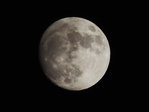  DSCN1767 (700x525, 189Kb)