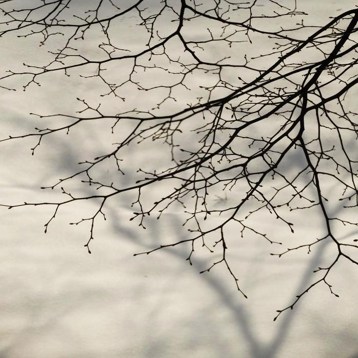 2 (700x700, 94Kb)