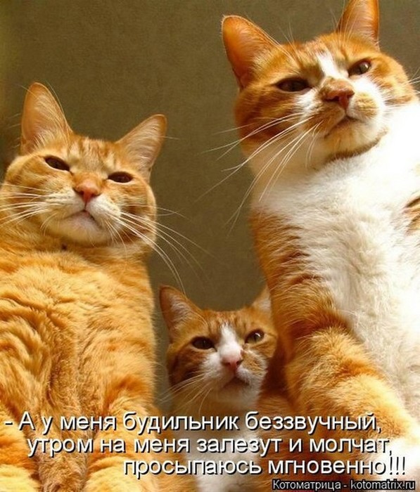 4743317_i5631 (597x700, 120Kb)