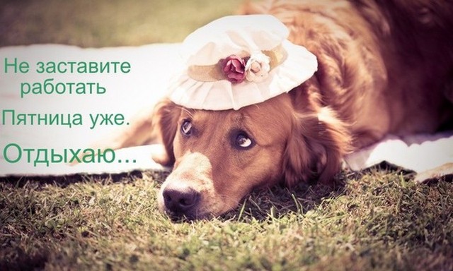 4743317_i23865 (640x384, 72Kb)