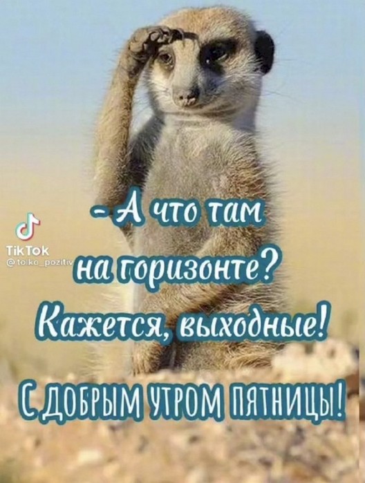 4743317_15f51dbf (528x700, 83Kb)