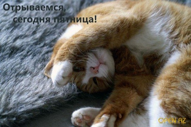 4743317_i23781 (640x426, 81Kb)