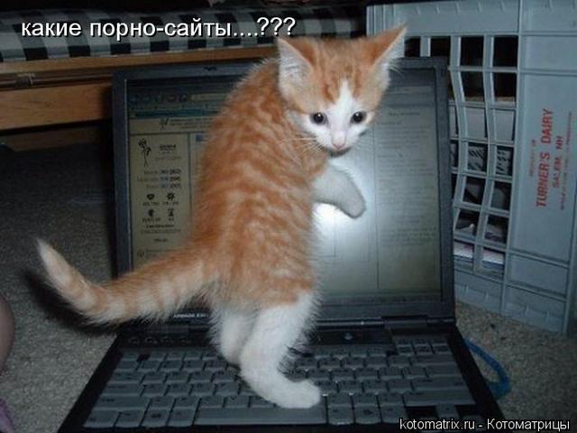 4743317_TB (640x480, 42Kb)