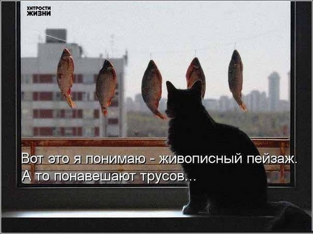 4743317_i5546 (640x480, 65Kb)