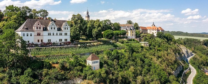 Dornburg_Schloss_Ensemble (900x484, 99Kb)